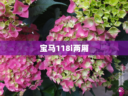 宝马118i两厢