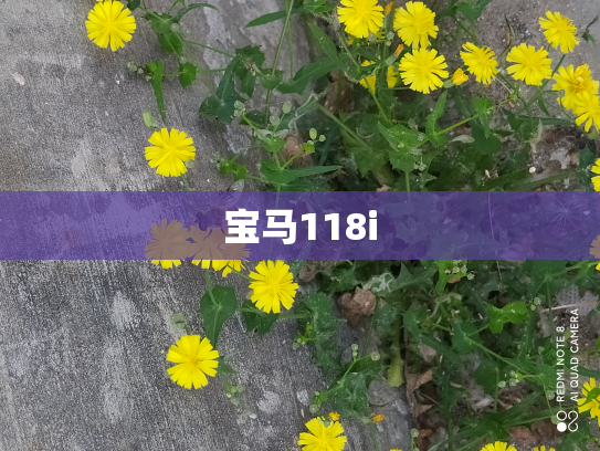 宝马118i