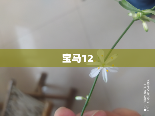 宝马12