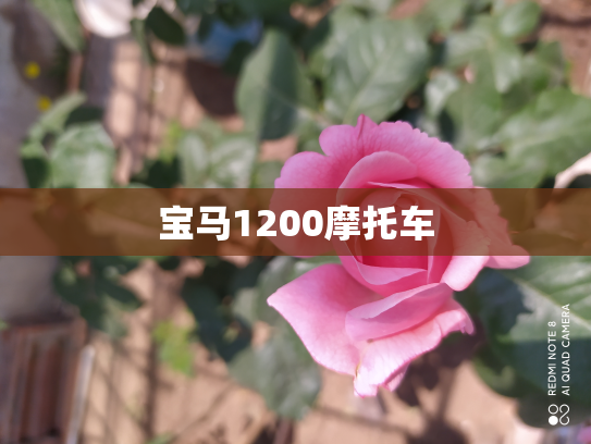 宝马1200摩托车