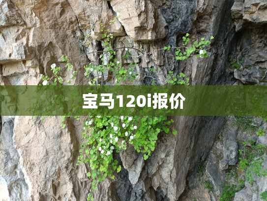 宝马120i报价