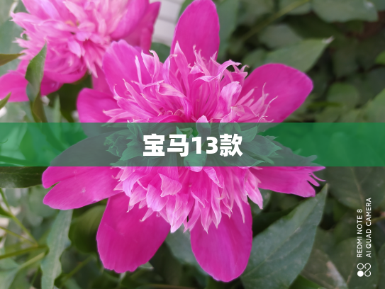 宝马13款