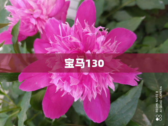 宝马130
