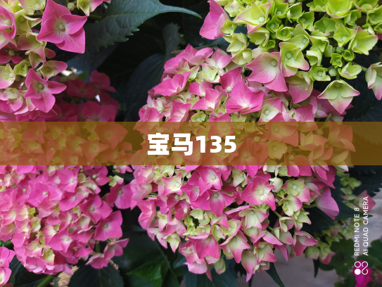 宝马135