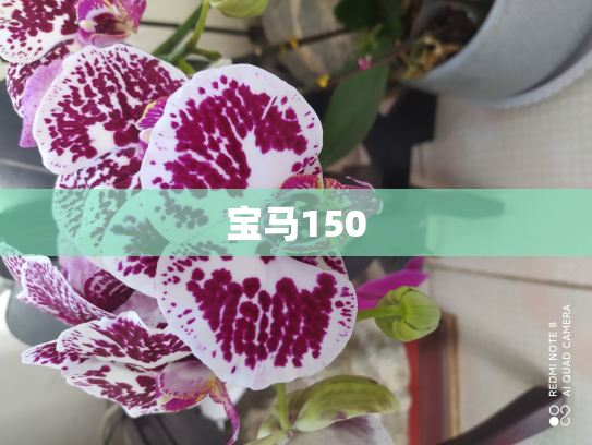 宝马150