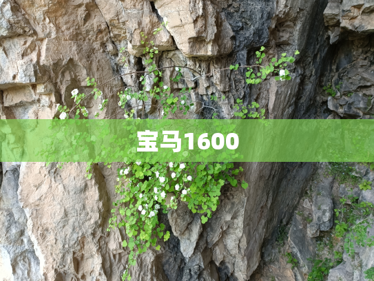 宝马1600