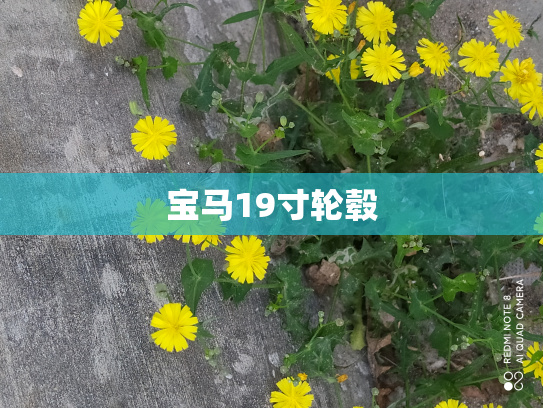 宝马19寸轮毂