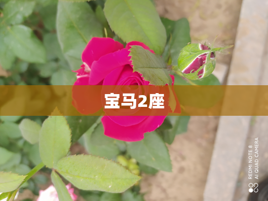 宝马2座