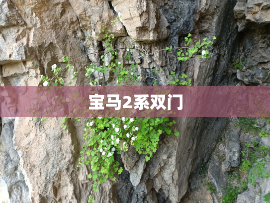 宝马2系双门