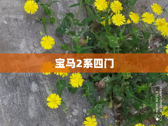 宝马2系四门