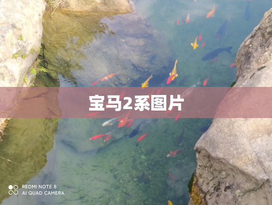 宝马2系图片