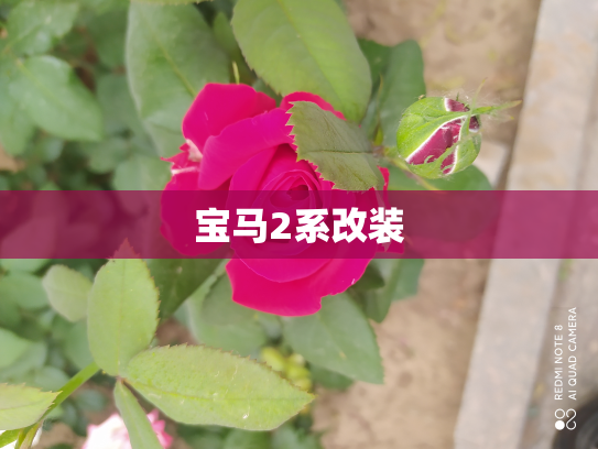 宝马2系改装