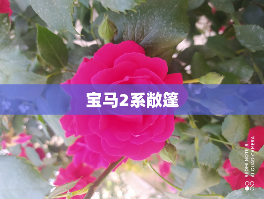 宝马2系敞篷