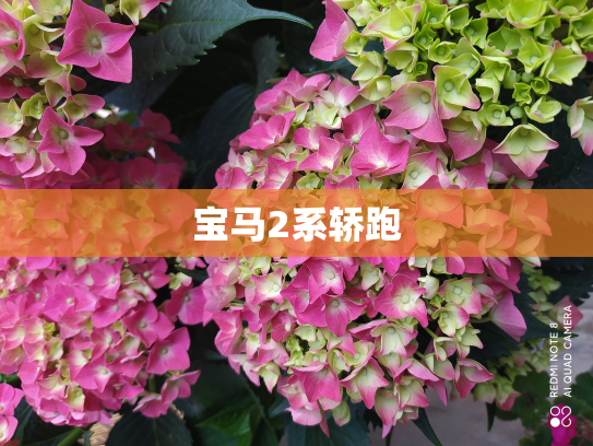宝马2系轿跑