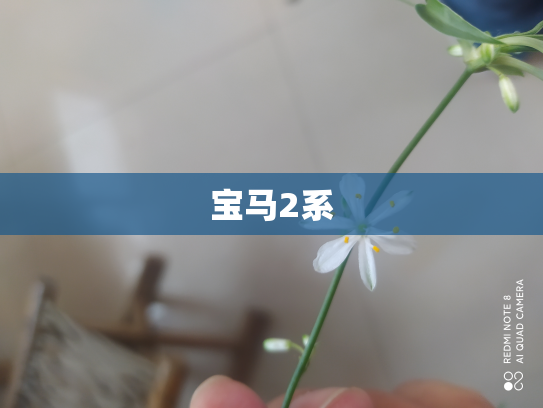 宝马2系