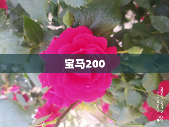 宝马200