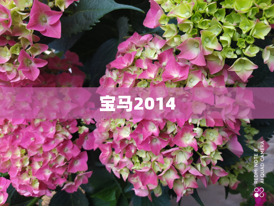宝马2014