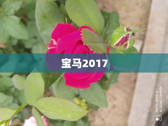 宝马2017