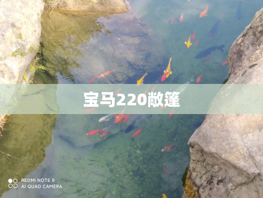 宝马220敞篷
