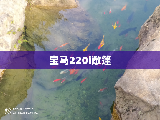 宝马220i敞篷
