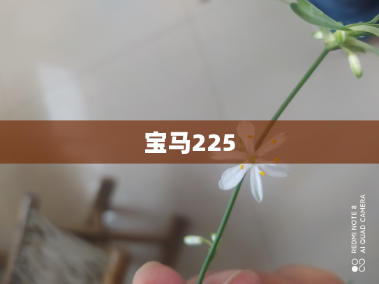 宝马225