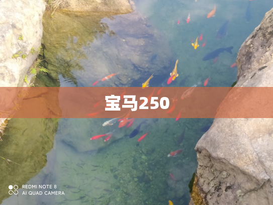 宝马250
