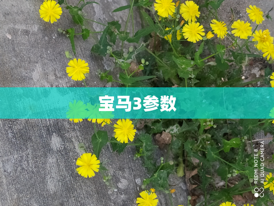 宝马3参数