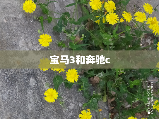 宝马3和奔驰c