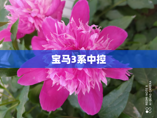 宝马3系中控