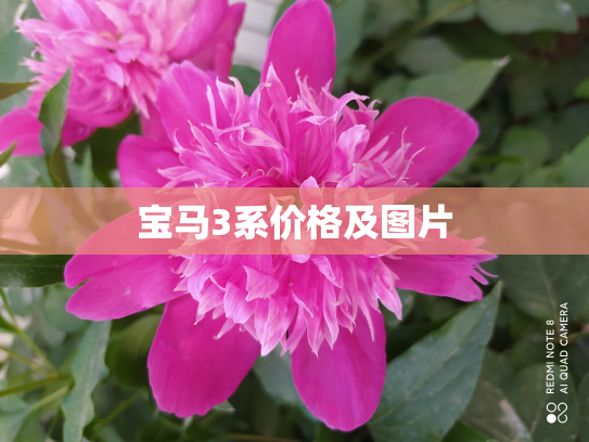 宝马3系价格及图片