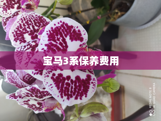 宝马3系保养费用