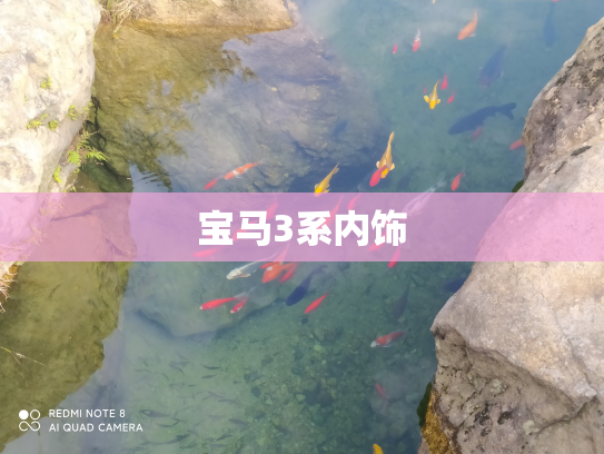 宝马3系内饰