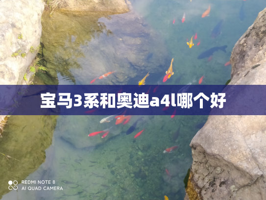 宝马3系和奥迪a4l哪个好