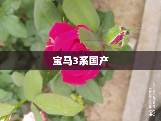 宝马3系国产