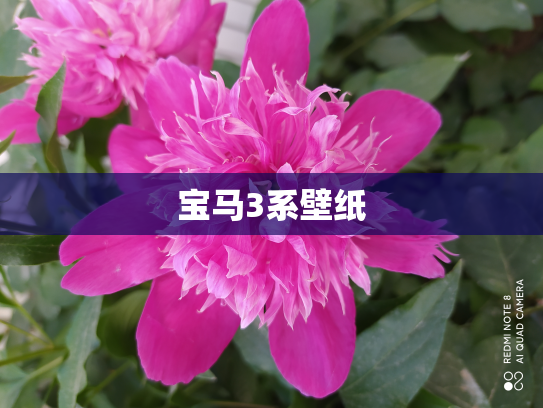 宝马3系壁纸