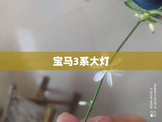 宝马3系大灯
