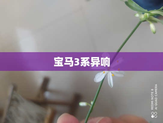 宝马3系异响
