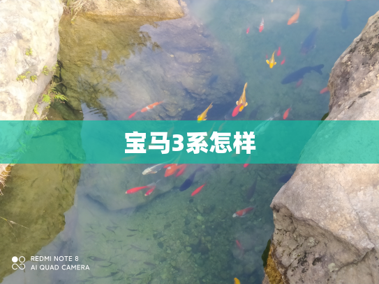 宝马3系怎样