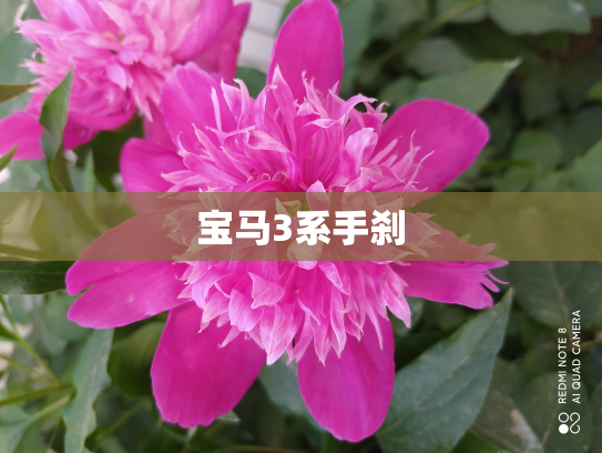 宝马3系手刹