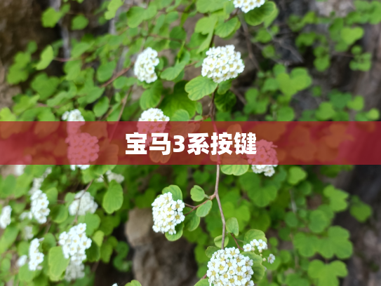 宝马3系按键