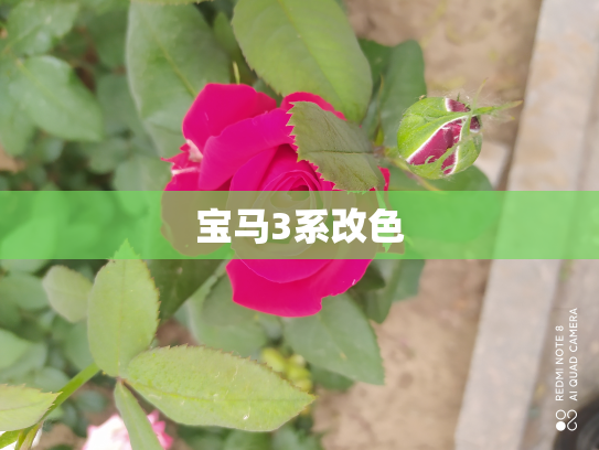 宝马3系改色