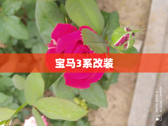 宝马3系改装