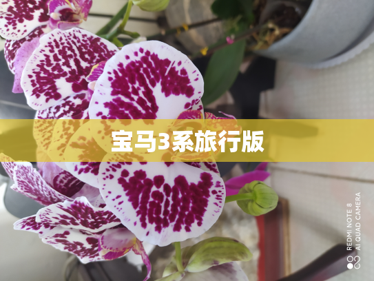 宝马3系旅行版