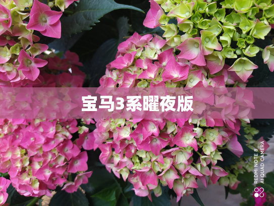 宝马3系曜夜版