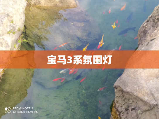宝马3系氛围灯