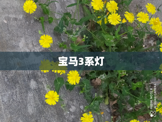 宝马3系灯