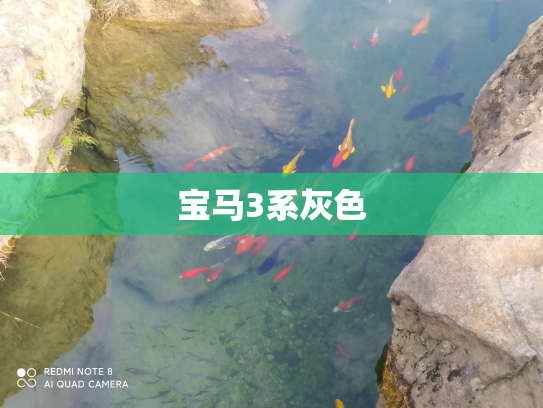 宝马3系灰色