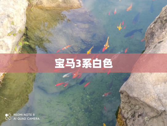 宝马3系白色