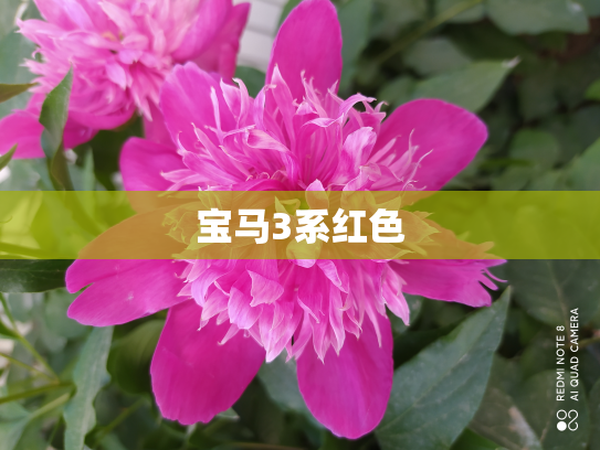 宝马3系红色