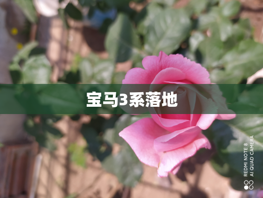 宝马3系落地